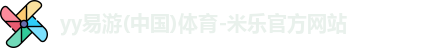 yy易游